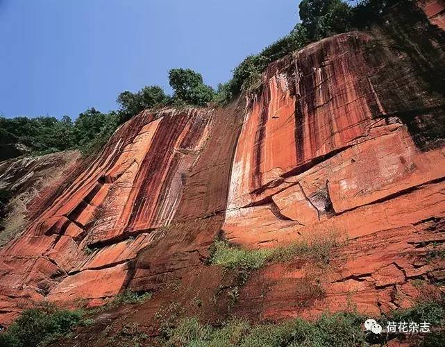 5 Món ăn Giáng sinh truyền thống không thể thiếu của người phương Tây