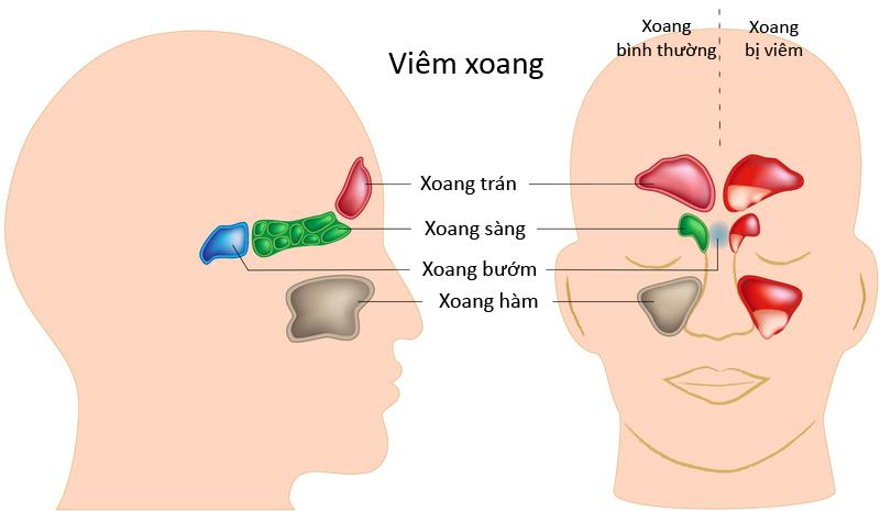 Nghịch lý khách quốc tế đến Việt Nam liên tục đạt kỷ lục - Vì sao Trang Chủ Cổng Game Cá Cược Uy Tín E2 BET nào cũng “than ế”?