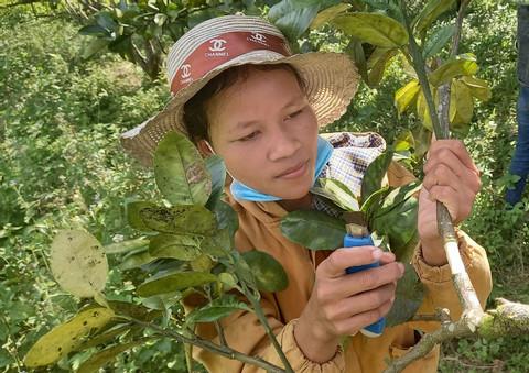 câu chuyện thương hiệu Accor