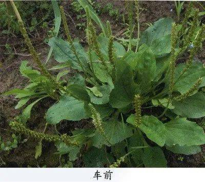 Nhà hàng “chặt chém giá” thực khách sẽ bị xử lý như thế nào