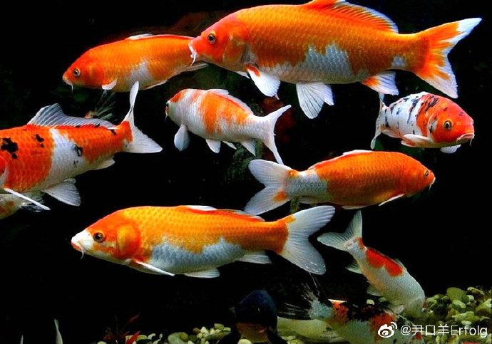 Viết CV - bao nhiêu là đủ