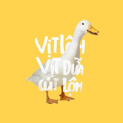 Có gì độc đáo ở “làng Mông Cổ” ngay tại Việt Nam