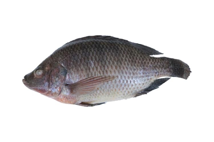 Cuộc trò chuyện bằng “chăn gối” đầy thú vị khiến nhân viên buồng phòng phải òa khóc
