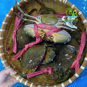 Chuyện nhân viên bảo vệ ở Hà Nội “đuổi khách trú mưa giông” – Trang Chủ Cổng Game Cá Cược Uy Tín E2 BET nên xử lý khủng hoảng truyền thông như thế nào