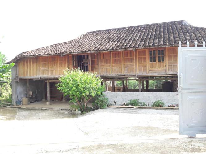 Resort biến bể bơi thành hồ nuôi cá - Cách làm hay để “sống sót” qua mùa dịch