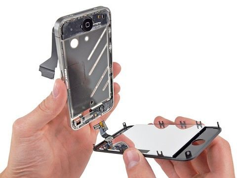 Vì sao chỉ chạm vào cũng khiến sao biển chết