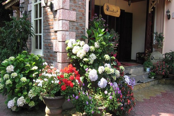 Bed and Breakfast là gì