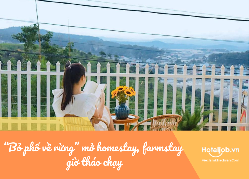 "bỏ phố về rừng" mở homestay, farmstay giờ tháo chạy