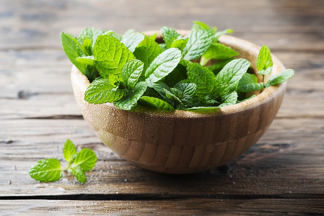 các loại gia vị thảo mộc trong món âu