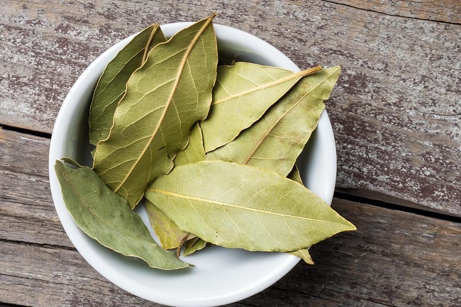các loại gia vị thảo mộc trong món âu