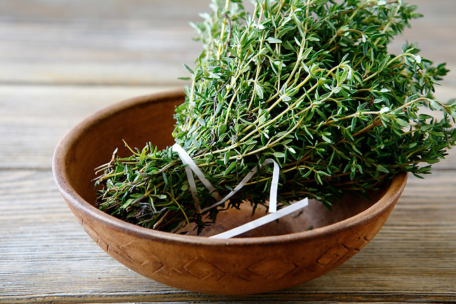 các loại gia vị thảo mộc trong món âu