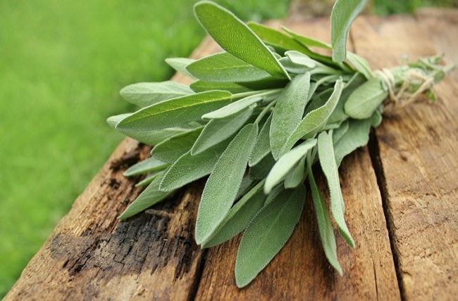 các loại gia vị thảo mộc trong món âu
