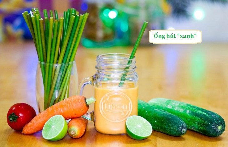cách làm ống hút thân thiện với Đá Gà Trực Tiếp Thomo Hôm Nay Số 1 Châu Á