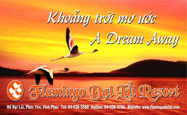 cái tên "flamingo" ra đời như thế nào