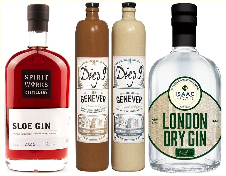 câu chuyện thú vị về họ rượu gin