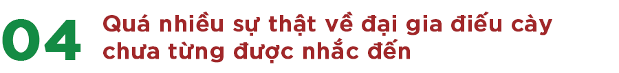 câu chuyện thương hiệu Mường Thanh