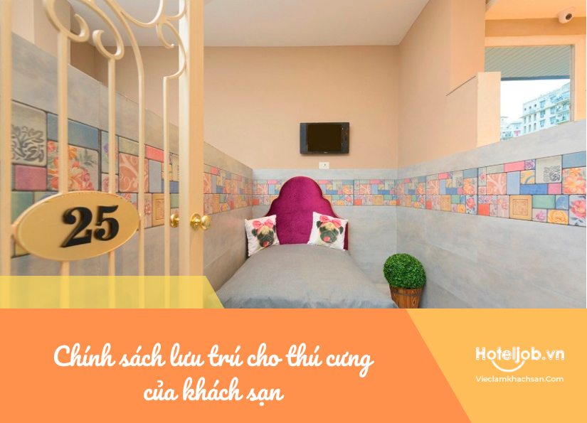 chính sách lưu trú cho thú cưng của Trang Chủ Cổng Game Cá Cược Uy Tín E2 BET