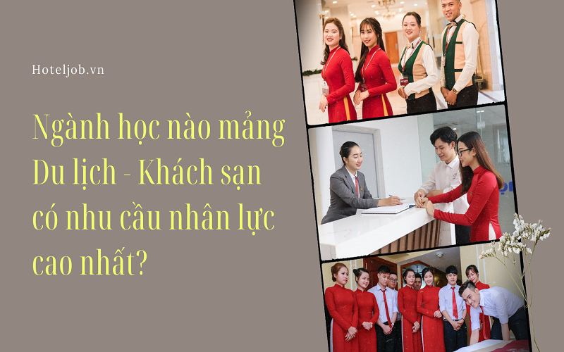chọn ngay 1 trong 4 ngành học mảng E28bet casino phiên bản mới - Trang Chủ Cổng Game Cá Cược Uy Tín E2 BET có nhu cầu cao để theo học