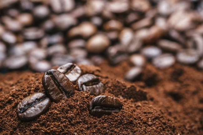 coffee bean belt là gì