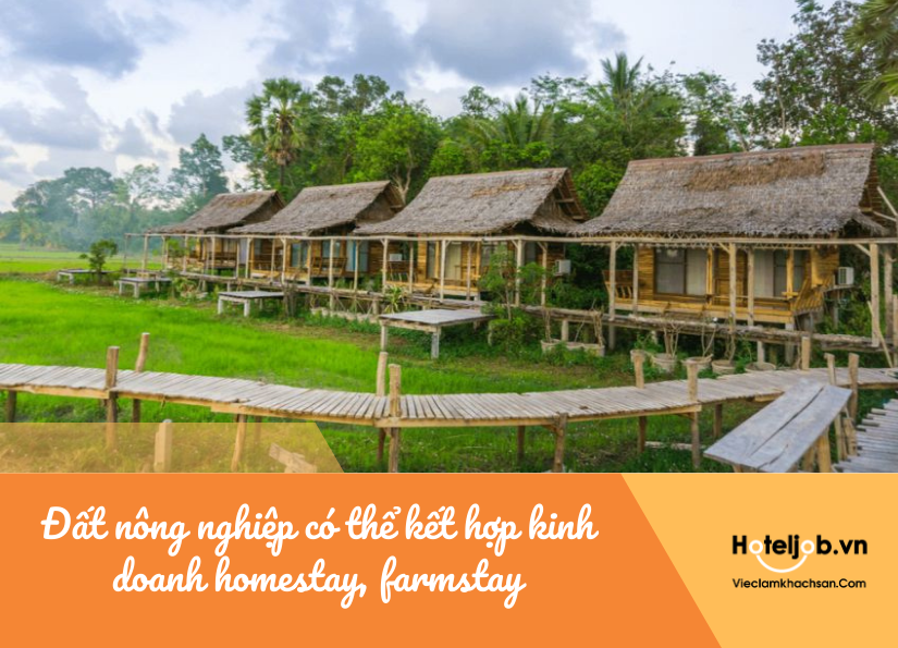 đất nông nghiệp có thể kết hợp kinh doan homestay, farmstay theo luật mới