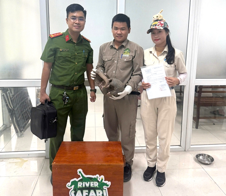 Đầu bếp tại Đà Nẵng bị bắt vì mua tê tê quý hiếm – Bài học cảnh tỉnh cho người làm ngành