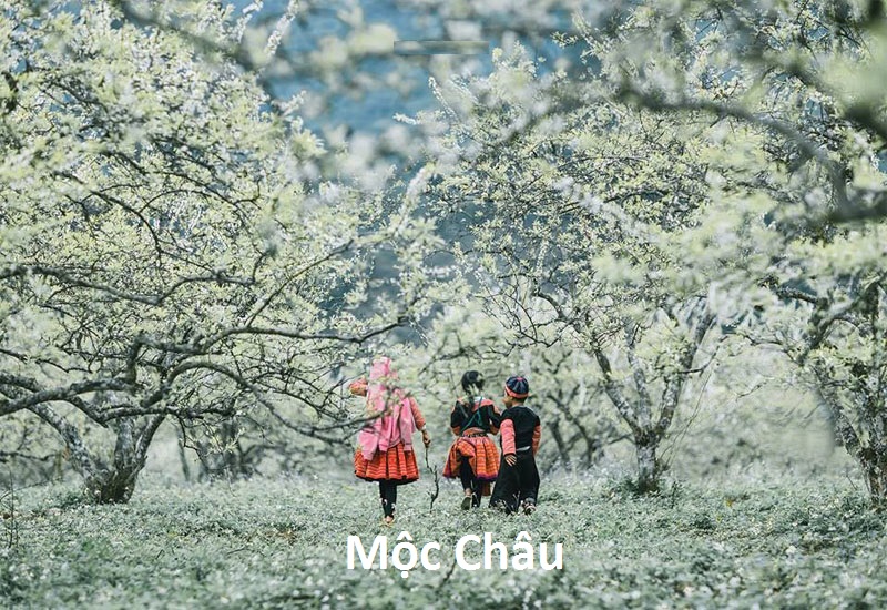 đi đâu "xõa" dịp nghỉ tết dương lịch