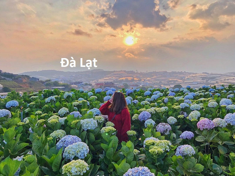 đi đâu "xõa" dịp nghỉ tết dương lịch