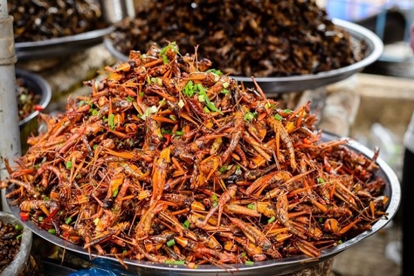 điểm danh 9 món đặc sản đáng sợ nhưng thơm ngon của việt nam