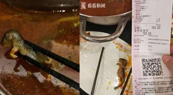 đóng cửa nhà hàng, mất tong 190 triệu usd sau vụ bị khách tố có chuột chết trong nồi lẩu