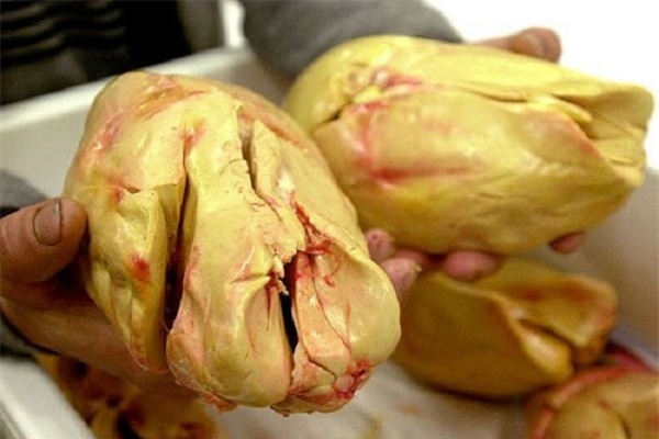foie gras là gì