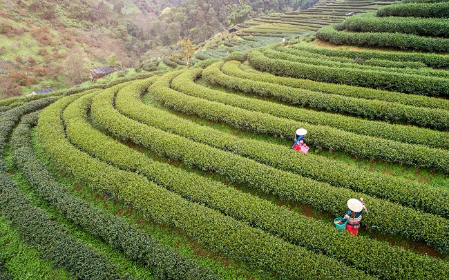 Nhảy cóc đến 8 bậc, Hội An xuất sắc giành ngôi vương danh hiệu “Thành phố tốt nhất thế giới 2019”