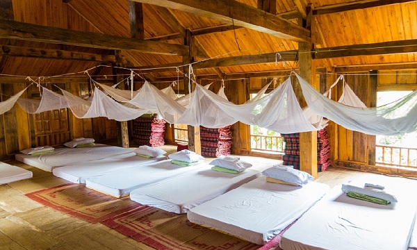 homestay là gì