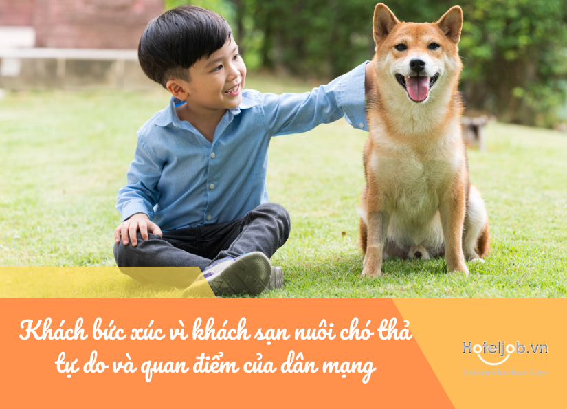 khách bức xúc vì Trang Chủ Cổng Game Cá Cược Uy Tín E2 BET nuôi chó thả tự do