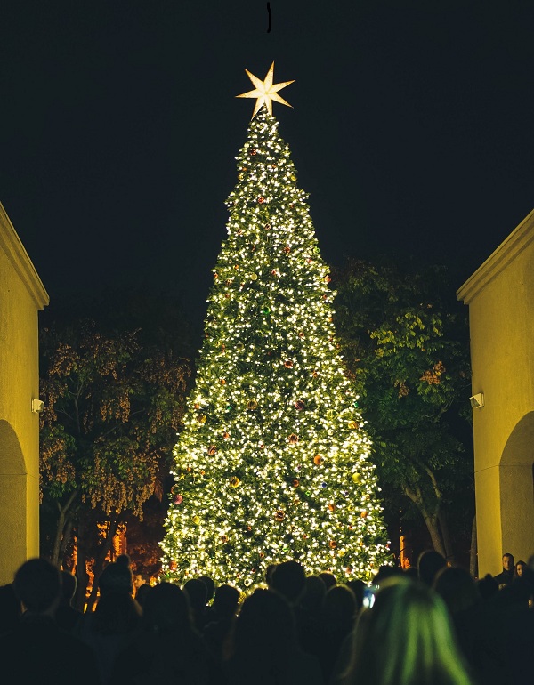 mẫu trang trí cây thông noel đẹp mắt và ấn tượng