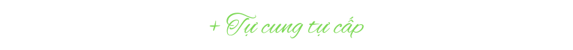 câu chuyện thương hiệu mixue