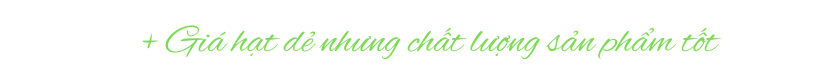câu chuyện thương hiệu mixue