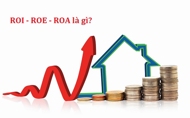 phân tích roi - roe - roa