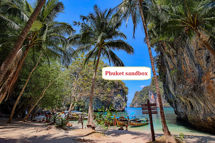 phuket vắng tanh như hoang đảo, hdv tự vẫn vì túng quẫn mùa dịch