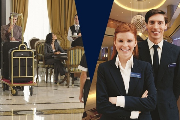 room division manager là gì