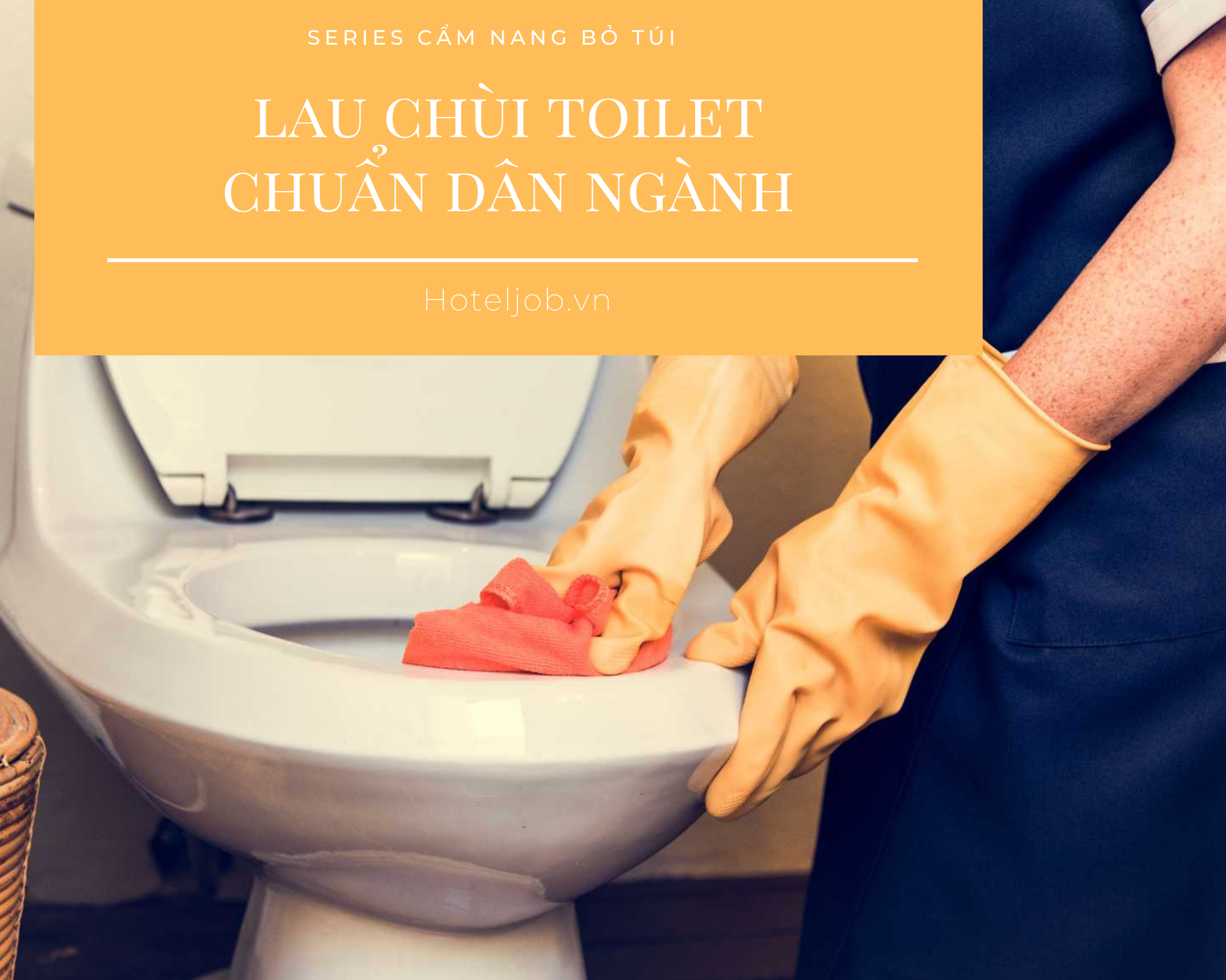 series cẩm nang bỏ túi