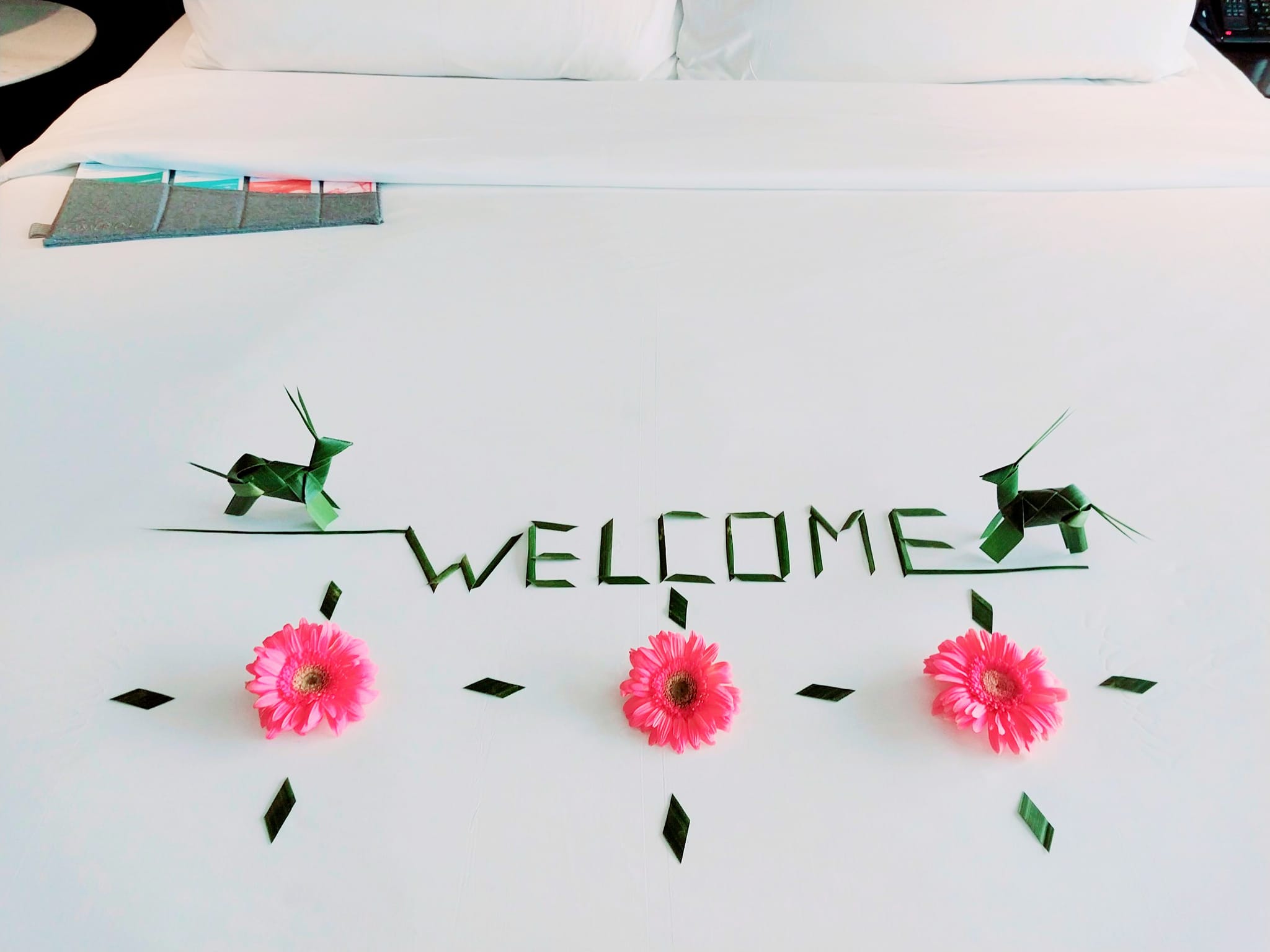 setup welcome tại phòng Trang Chủ Cổng Game Cá Cược Uy Tín E2 BET