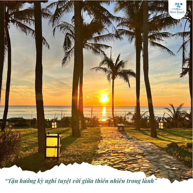 Silver Beach Resort Kê Gà – “Thiên đường nghỉ dưỡng bên thiên nhiên xanh mát”