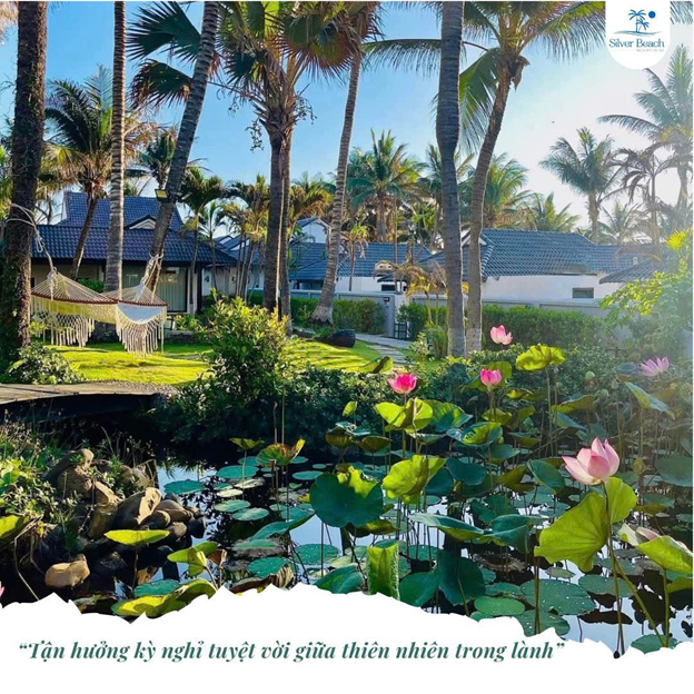Silver Beach Resort Kê Gà – “Thiên đường nghỉ dưỡng bên thiên nhiên xanh mát”