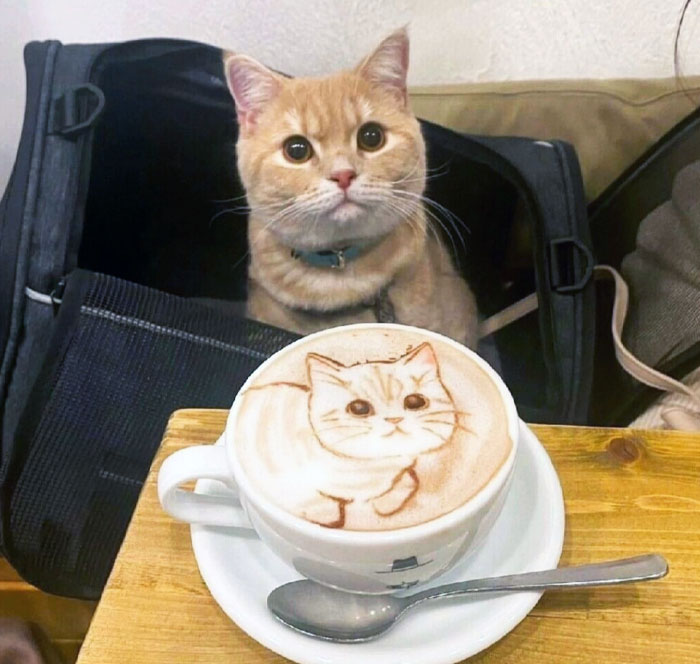 tạo hình latte art siêu ấn tượng