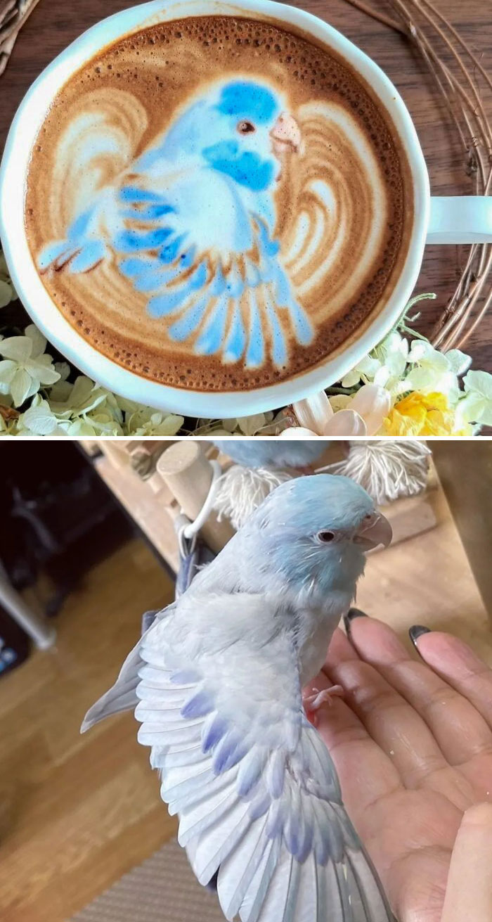 tạo hình latte art siêu ấn tượng