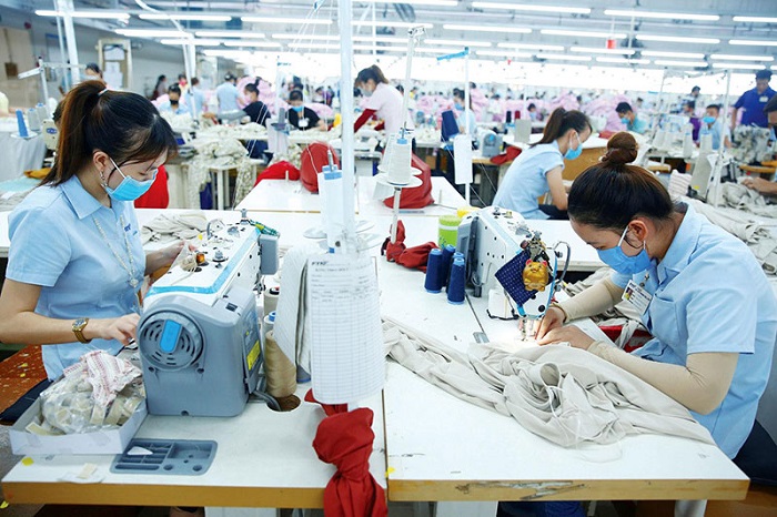 thất nghiệp mùa covid, hướng dẫn viên xoay xở đủ việc để sống tiếp