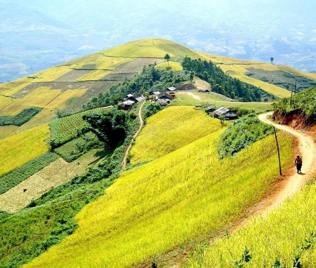 tin mới tuần qua - 10