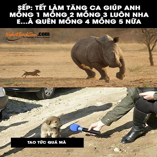 xả cuối tuần - 21