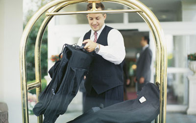 Cv mẫu dành cho Bellman