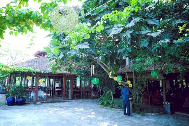 Thiết kế nhà hàng: Màu sắc lấy cảm hứng từ thiên nhiên